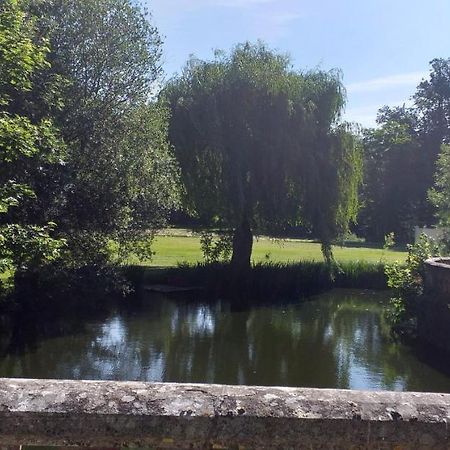 Chateau De Rocheux Freteval Dış mekan fotoğraf
